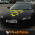 Car Sticker: Front Bonnet with Honeycomb Design